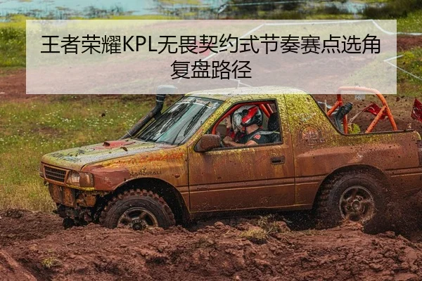 王者荣耀KPL无畏契约式节奏赛点选角复盘路径