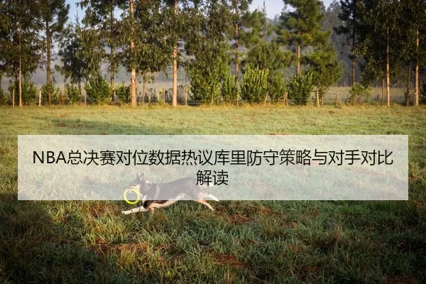zong-jue-sai-dui-wei-shu-ju-re-yi-ku-li-fang-shou-ce-lve-yu-dui-shou-dui-bi-jie-du-2-639.jpg